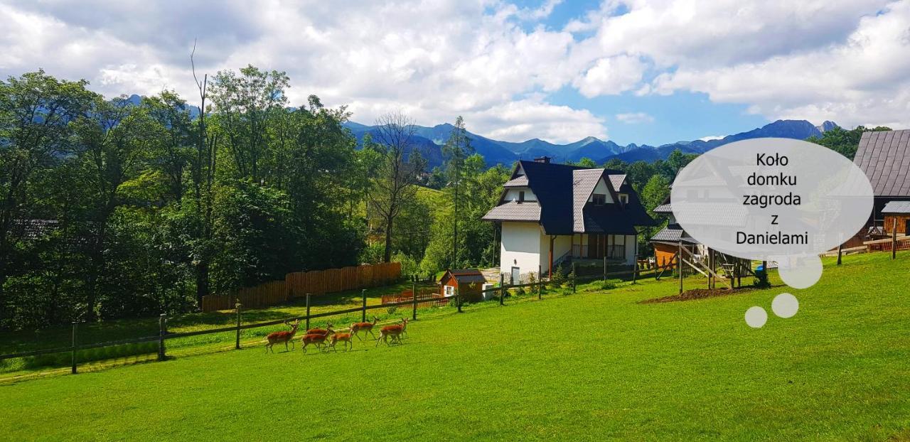 Domek Gabi Z Balia W Ogrodzie Закопане Екстер'єр фото